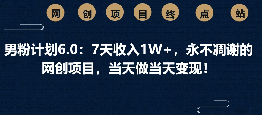男粉计划6.0：7天收入1W+，永不凋谢的网创项目，当天做当天变现！ - 维兴科技-维兴科技
