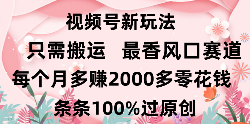 日入2000+，条条100%过原创，视频号最香风口赛道，小白轻松上手 - 维兴科技-维兴科技