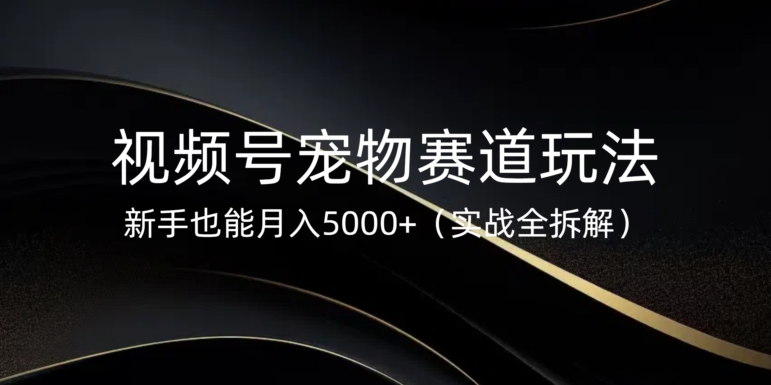 视频号宠物赛道玩法，新手也能月入5000+（实战全拆解） - 维兴科技-维兴科技