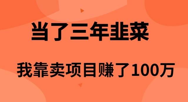 当了3年韭菜，我靠卖项目赚了100万 - 维兴科技-维兴科技