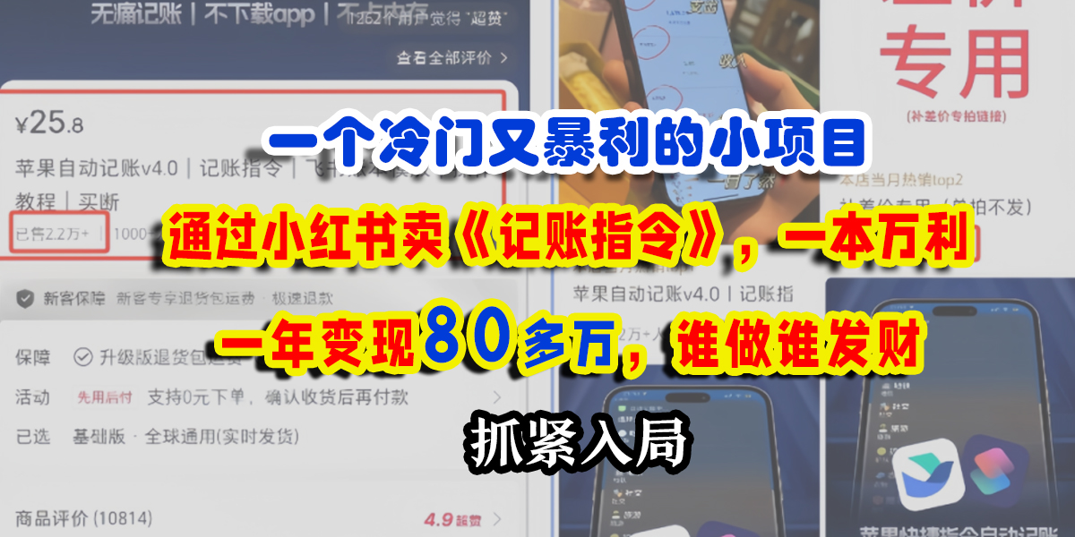 一个冷门又暴利的小项目，通过小红书卖《记账指令》，一本万利，一年变现80多万，谁做谁发财 - 维兴科技-维兴科技