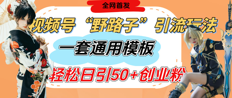 视频号“野路子”玩法，评论区疯狂截流，一套模板单日单号引流50+创业粉 - 维兴科技-维兴科技