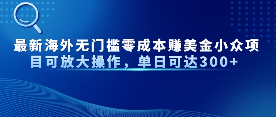 最新海外无门槛美金小众项目可放大操作，单日可达300+ - 维兴科技-维兴科技