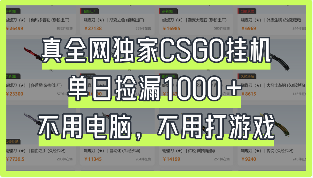 真全网独家CSGO挂机，单日捡漏1000+ - 维兴科技-维兴科技