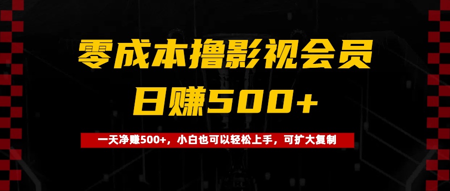 0成本撸影视会员，一天净赚500+，小白也可以轻松上手，可扩大复制 - 维兴科技-维兴科技
